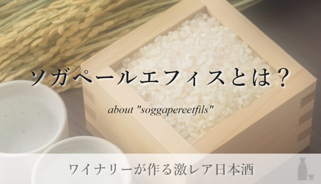 ソガペールエフィスとは？ 