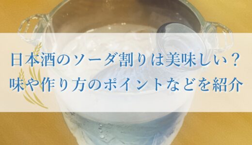 日本酒のソーダ割りは美味しい？味や作り方のポイントなどを紹介